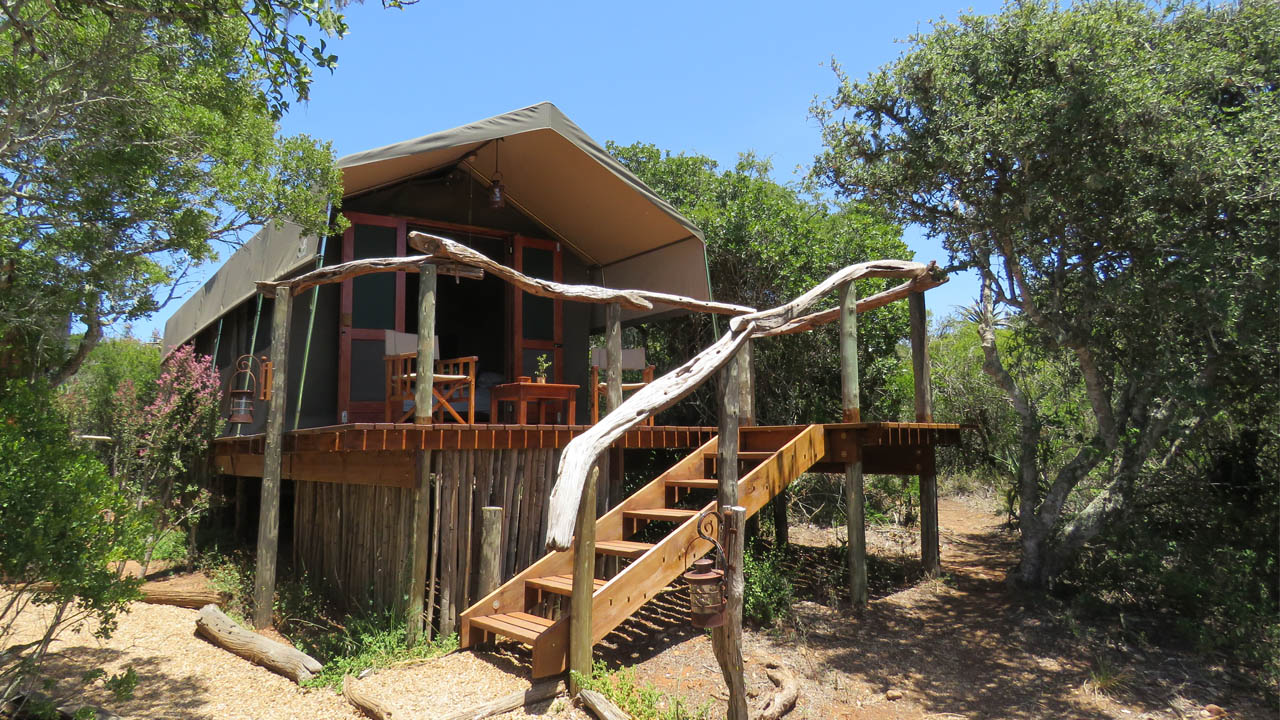 Woodbury: die Glamping-Zelte